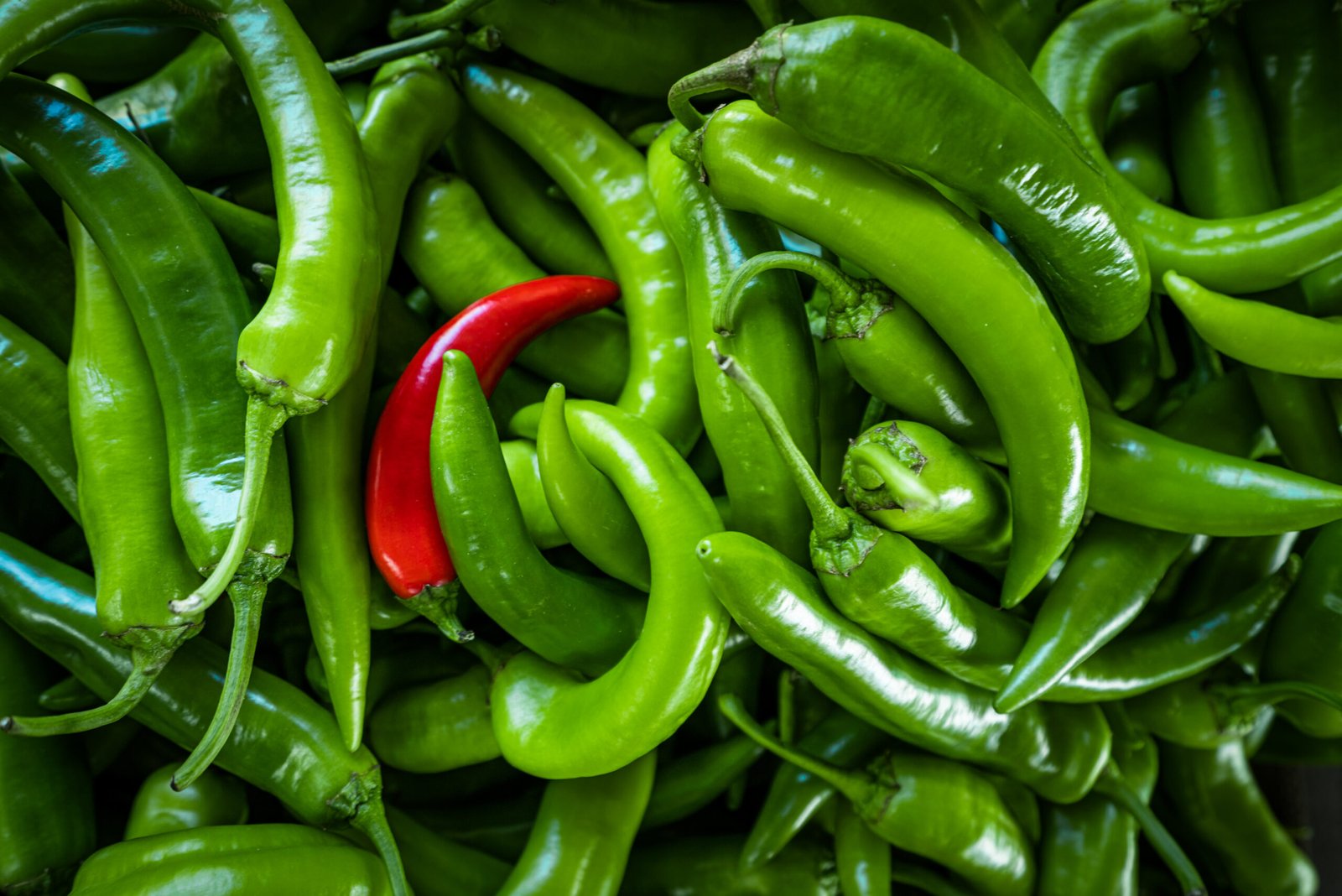 Chilli Green/Pepper