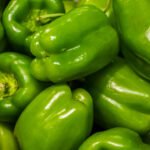 Green capsicum