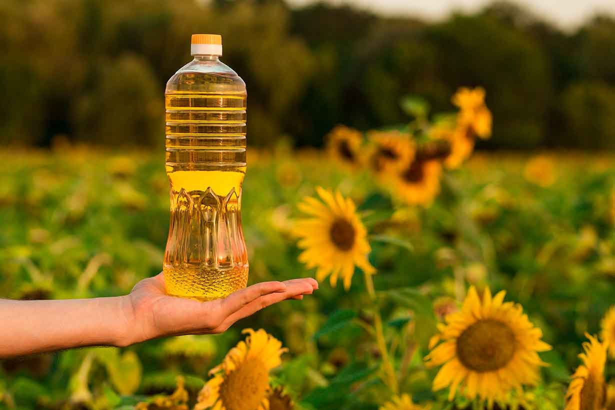 Sunflower Oil Delta