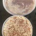 Yemeni Sidr honey with wax