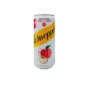 Schweppes Apple 300ml