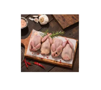 2 Egyptian Baladi Pigeon Pairs