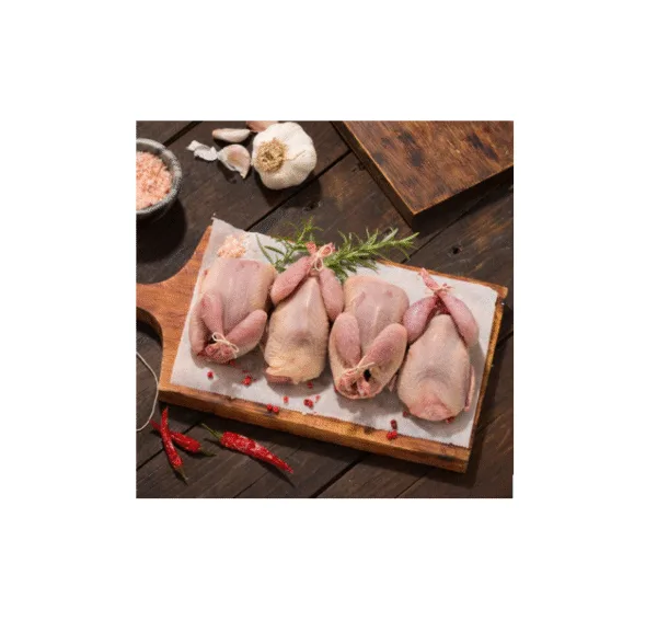 2 Egyptian Baladi Pigeon Pairs